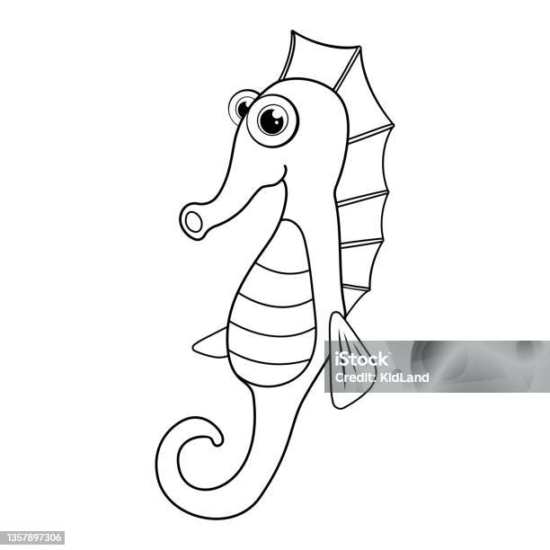 Colorless cartoon sea horse coloring page template page for coloring book of funny sea fish for