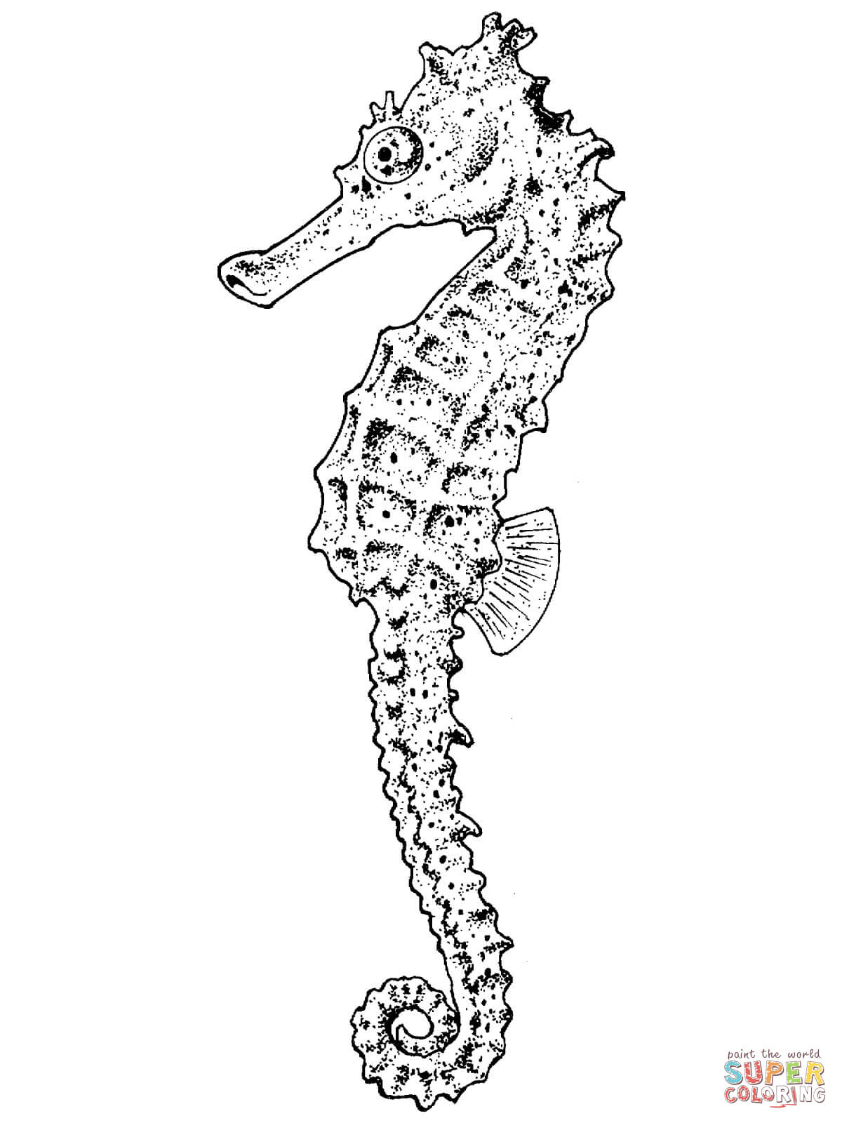 Realistic seahorse coloring page free printable coloring pages