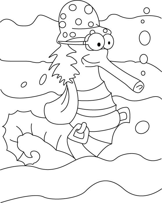 Seahorse with long nose coloring pages download free seahorse with long nose coloring pages for kids best coloring pages