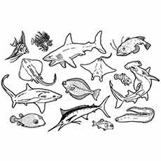 Best free printable ocean coloring pages online