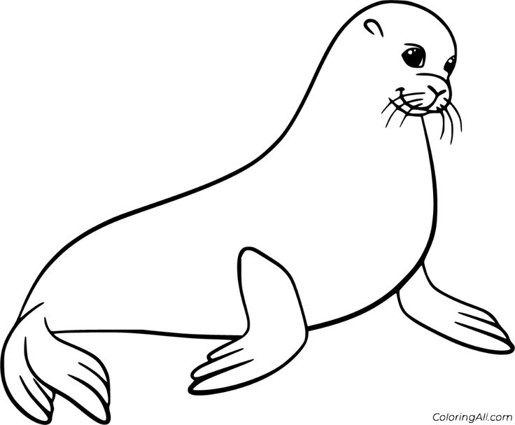 Free printable sea lion coloring pages in vector format easy to print from any device and automatically fit any pâ lion coloring pages sea lion art sea lion