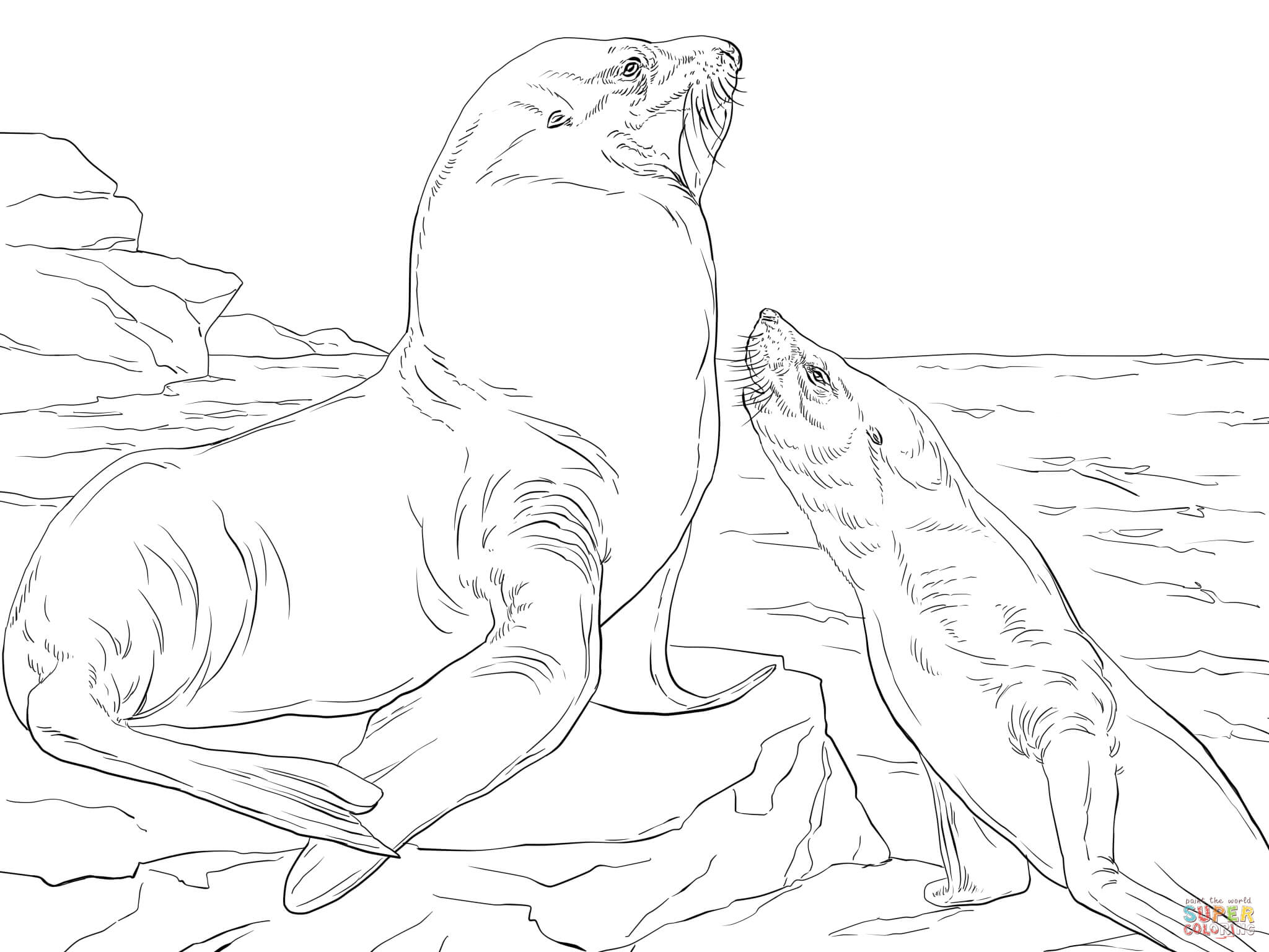 Steller sea lions coloring page free printable coloring pages