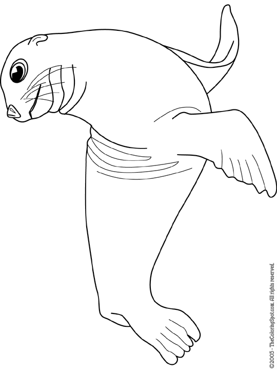 Sea lion coloring page audio stories for kids free coloring pages colouring printables