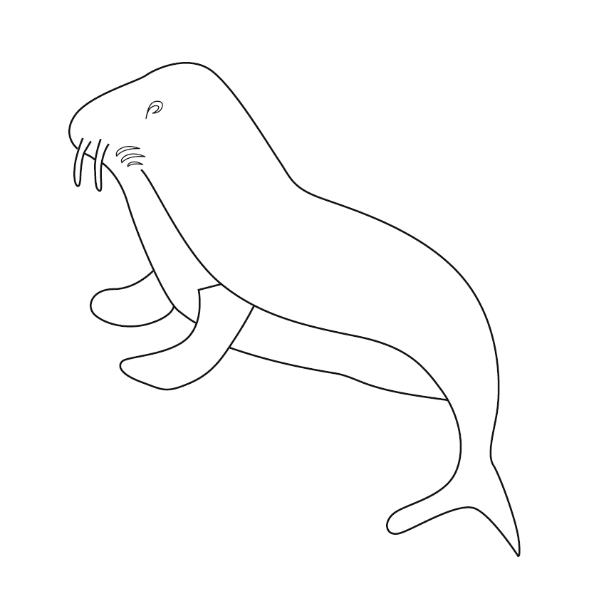 Sea lion colouring page free colouring book for children â monkey pen store