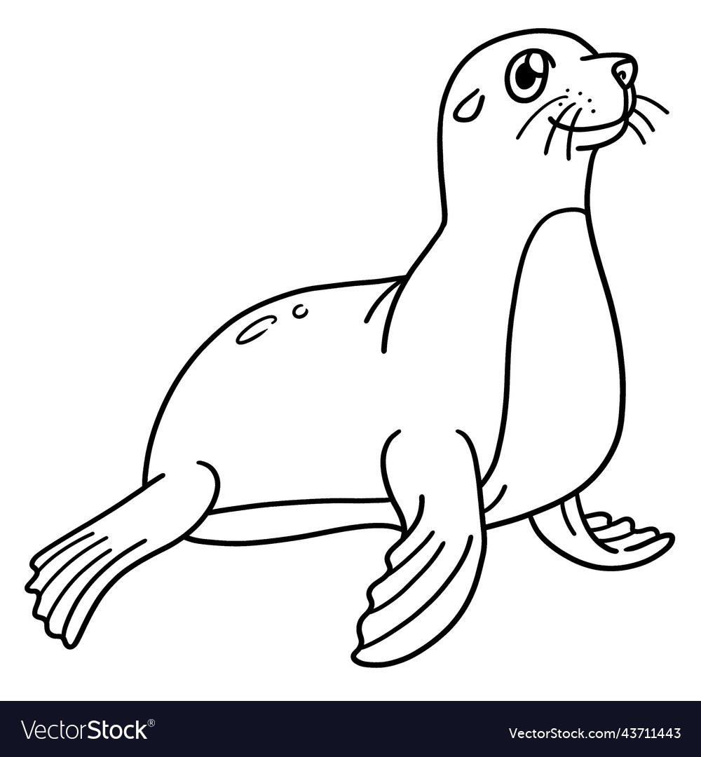 Seal isolated coloring page for kids royalty free vector
