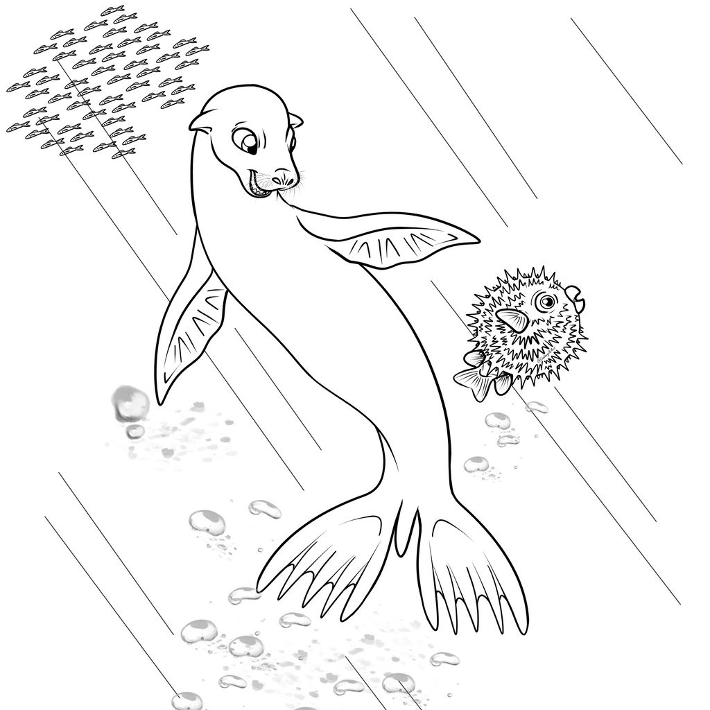 Sea lion swim coloring page by imaginheart on