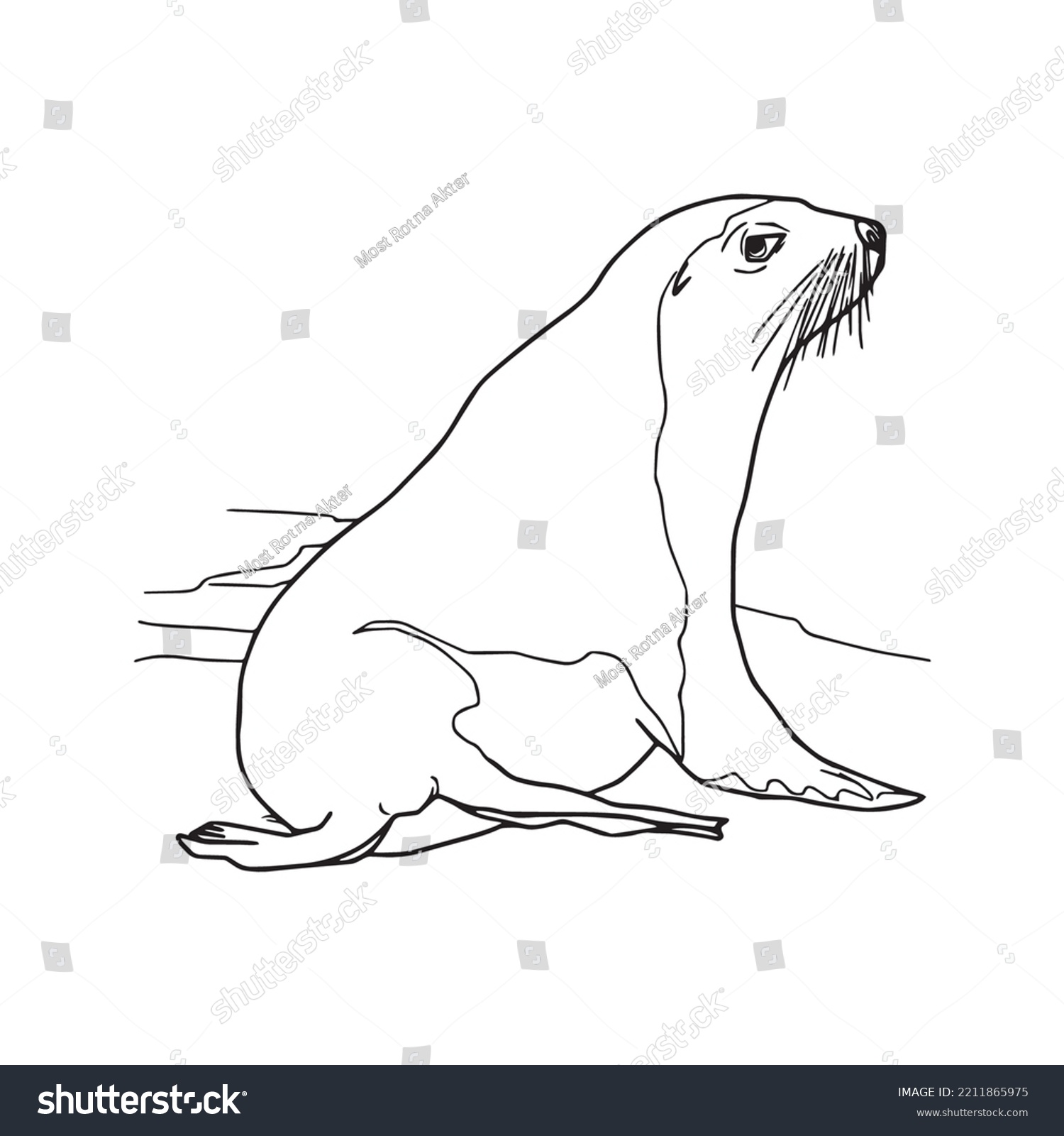 Cute sea lion coloring book pages stock vector royalty free