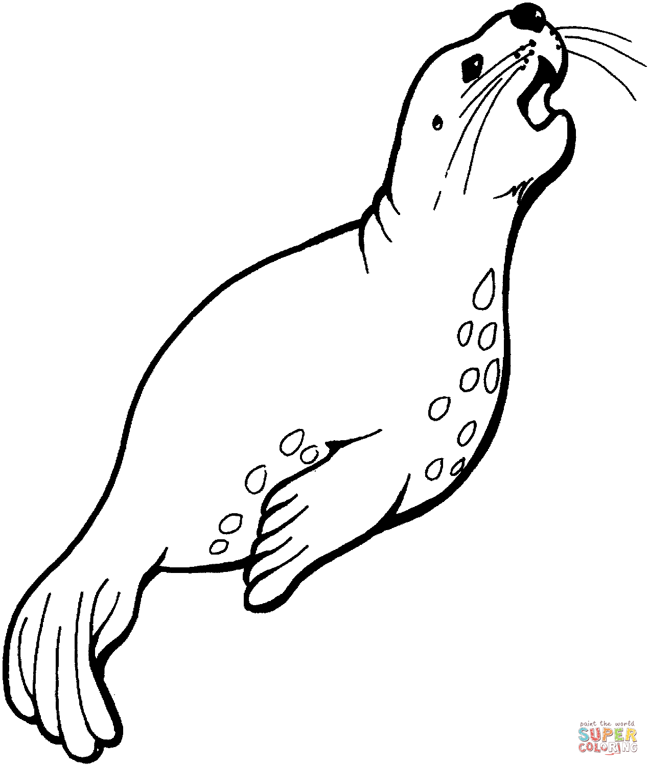 Sea lion is singing coloring page free printable coloring pages
