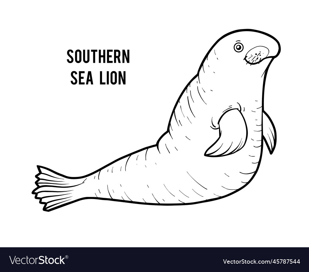 Coloring book southern sea lion royalty free vector image