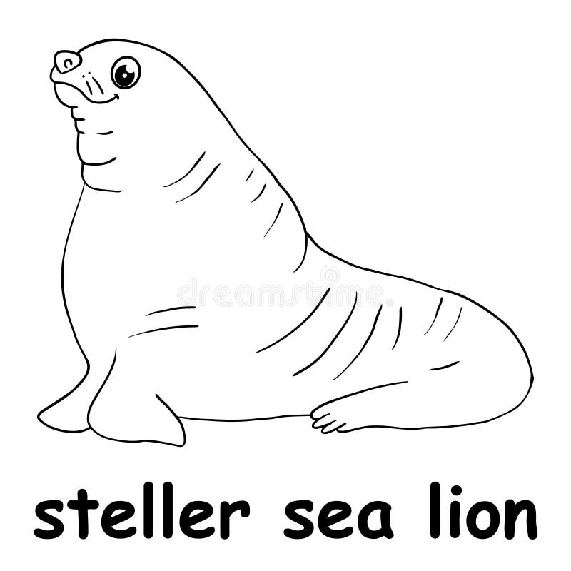 Sea lion coloring page stock illustrations â sea lion coloring page stock illustrations vectors clipart
