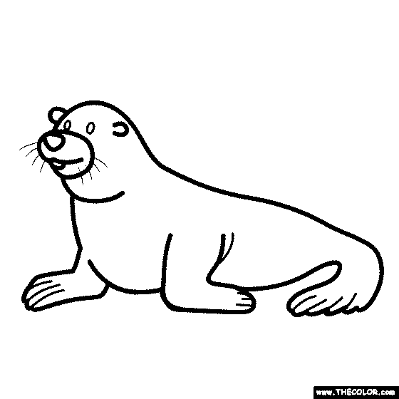 Sea lion coloring page