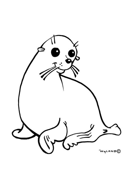 Coloring page sealion