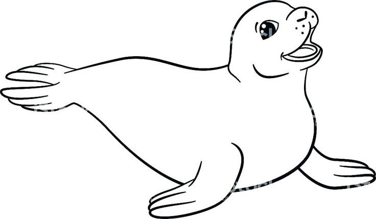 Sea lion coloring pages sea lion coloring page seal coloring sheets free printable seal coloring pâ lion coloring pages coloring pages zoo animal coloring pages