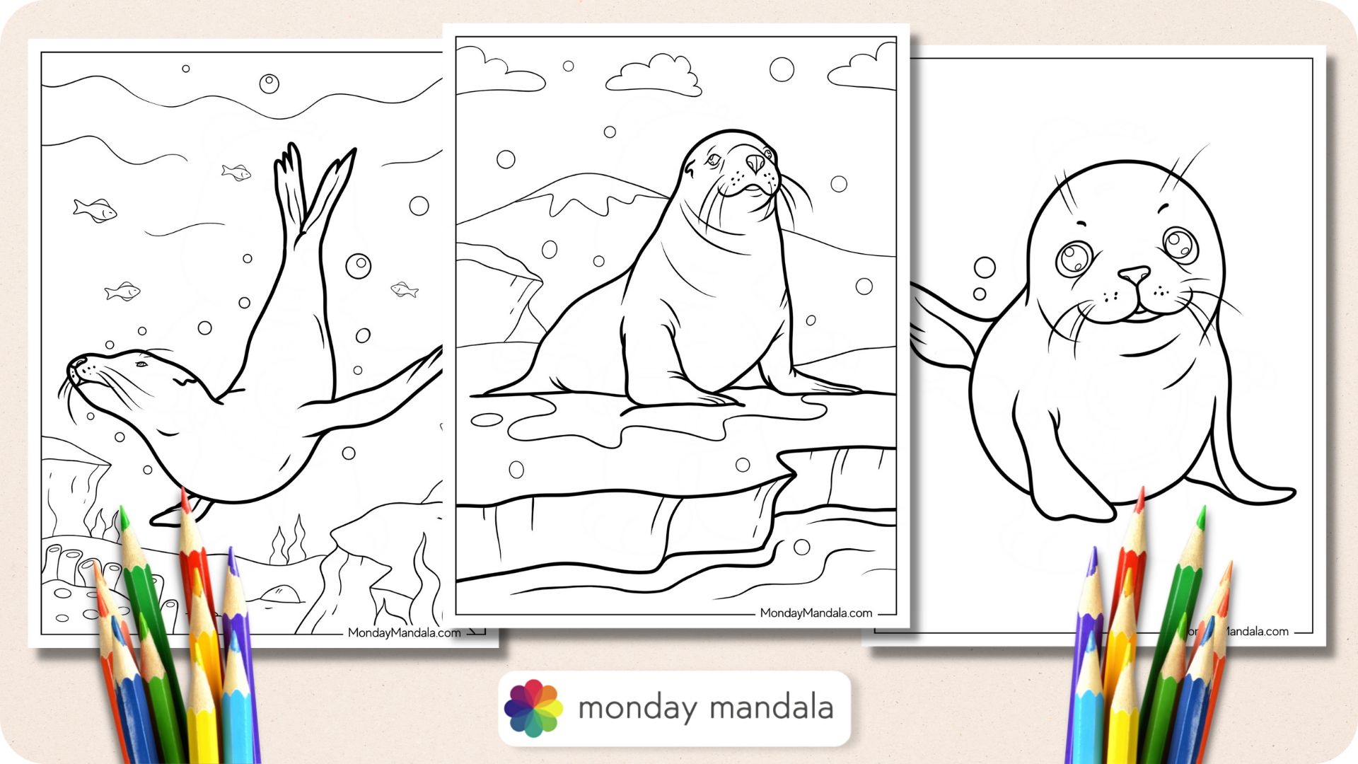 Seal coloring pages free pdf printables