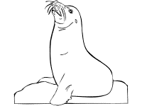 Seals and sea lion coloring pages and printable activities pinnipeds