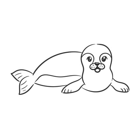 Hand drawn sea lion design for coloring