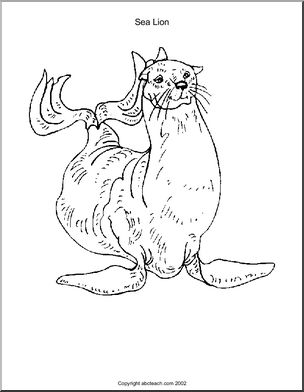 Coloring page sea animals