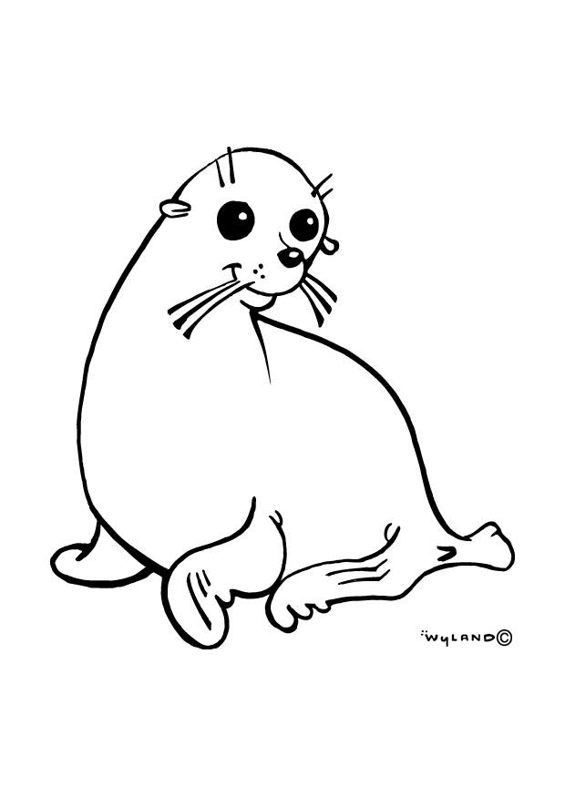 Coloring page sealion