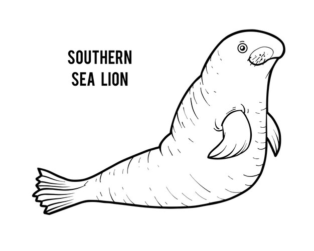 Premium vector coloring book southern sea lion