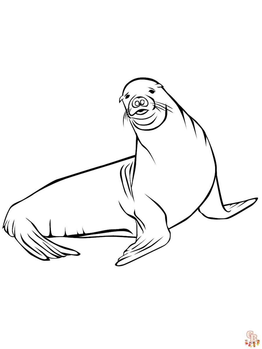 Enjoy free printable sea lion coloring pages