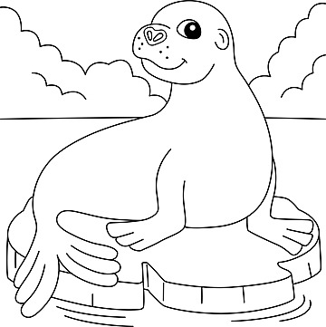 Sea lion coloring page png transparent images free download vector files