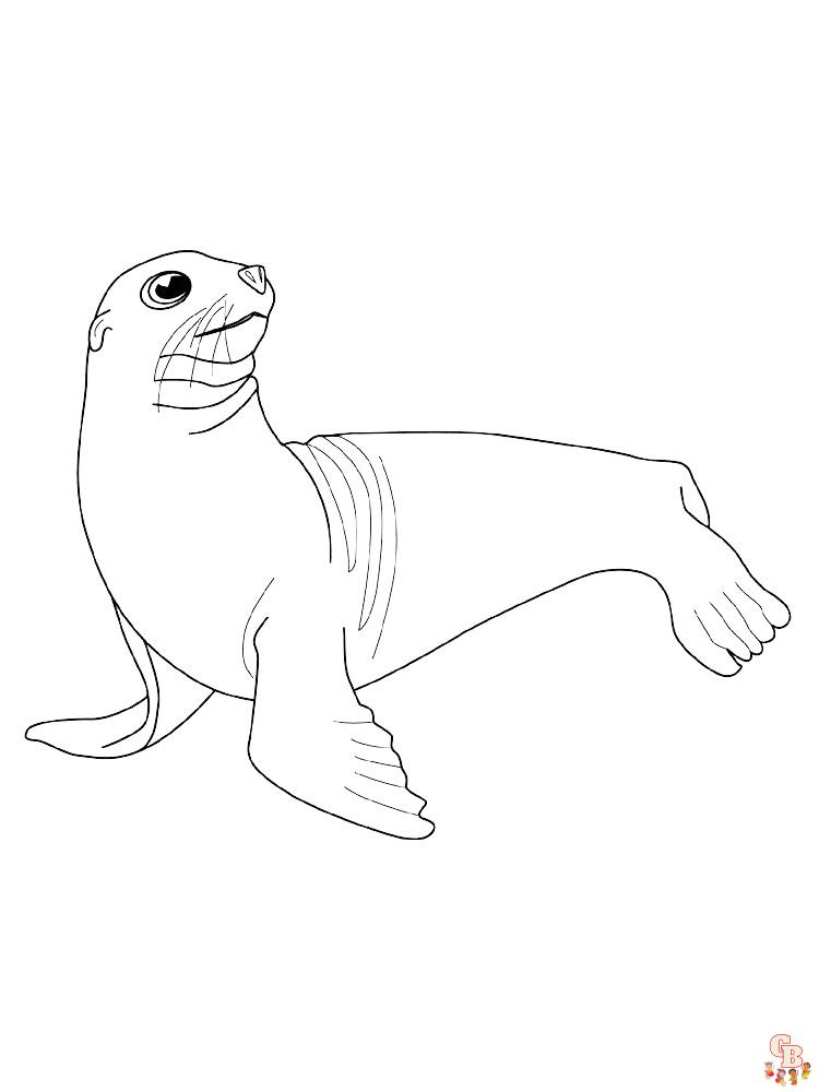 Enjoy free printable sea lion coloring pages