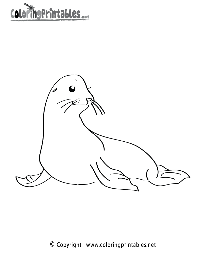 Sea lion coloring page