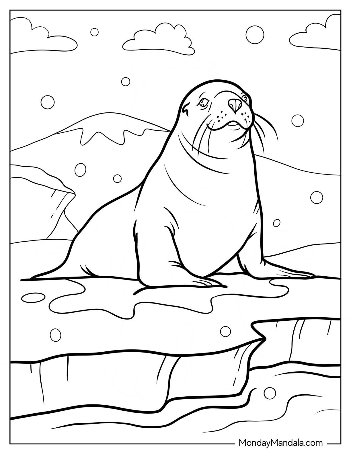 Seal coloring pages free pdf printables