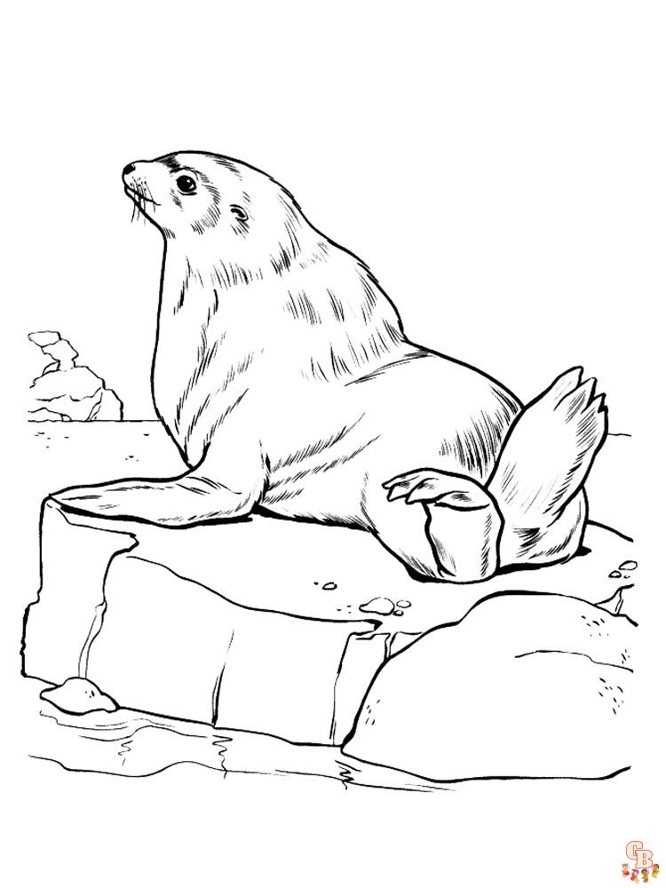 Enjoy free printable sea lion coloring pages