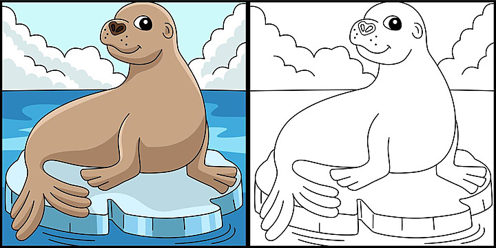 Sea lion coloring page png transparent images free download vector files