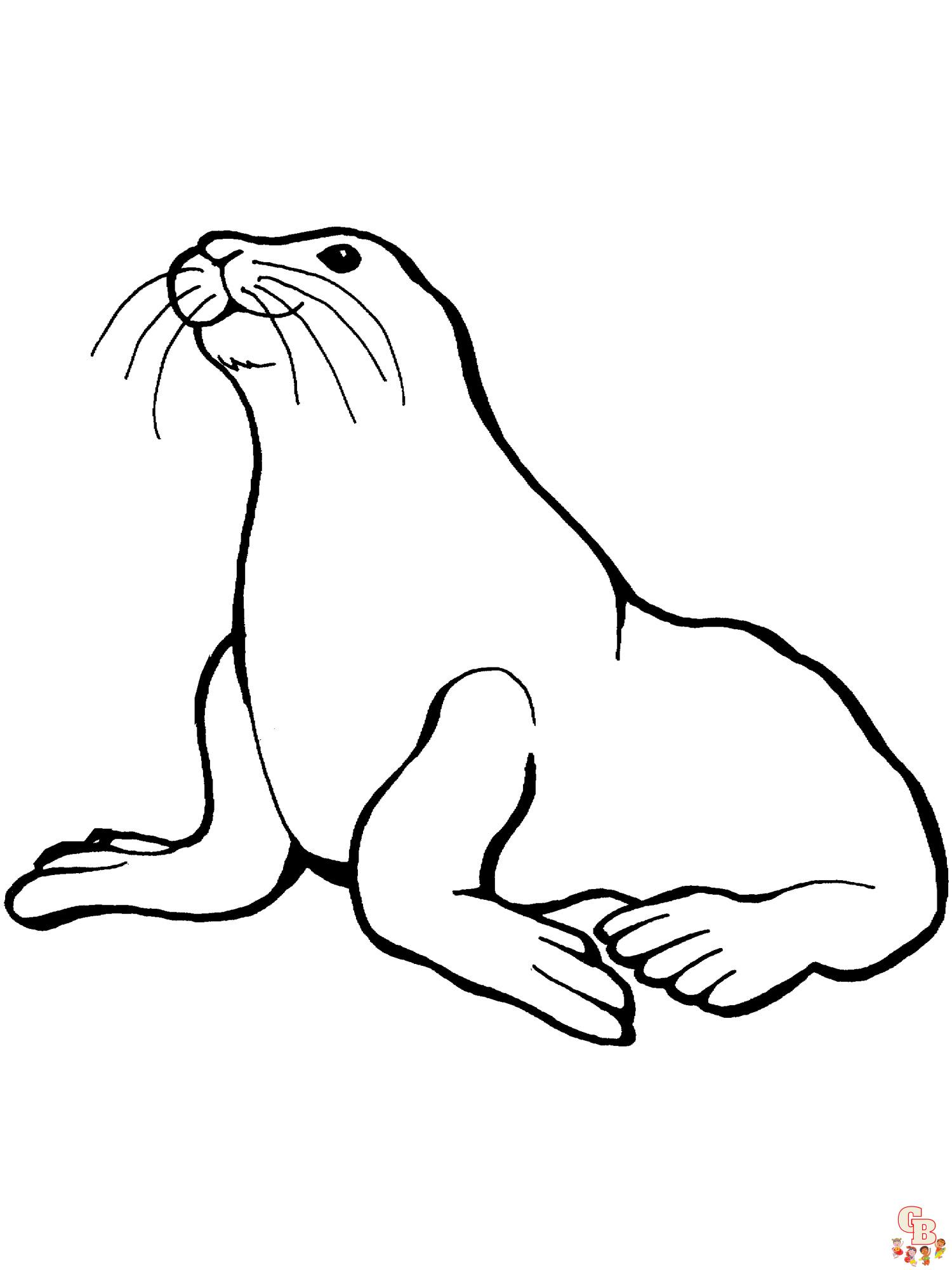 Enjoy free printable sea lion coloring pages