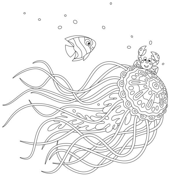 Jellyfish coloring pages stock illustrations royalty