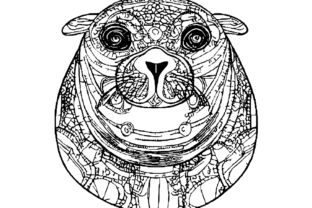 Cute sea lion coloring page with uniform patterns