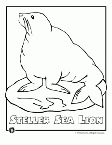 Endangered animals coloring pages animals from north america the rainforest the ocean woo jr kids activities childrens publishing