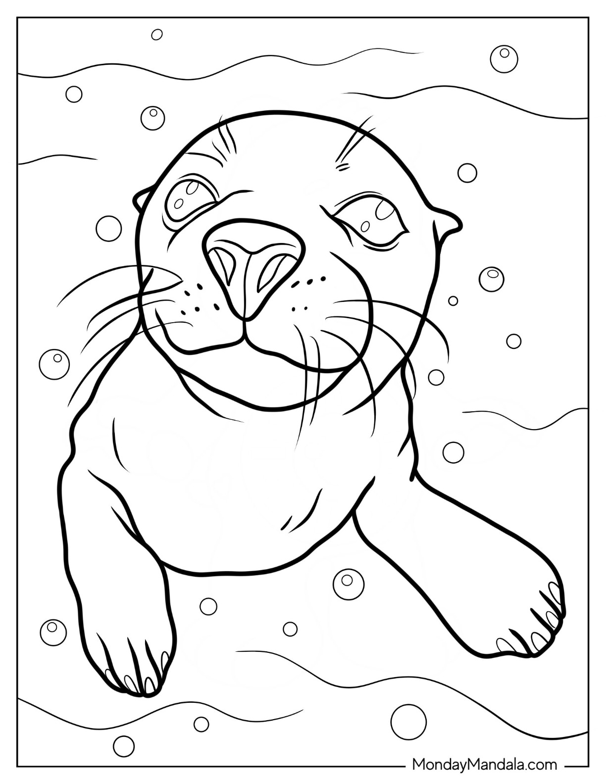 Seal coloring pages free pdf printables