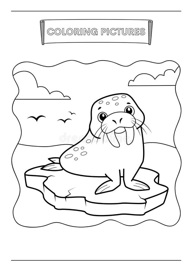 Walrus coloring stock illustrations â walrus coloring stock illustrations vectors clipart