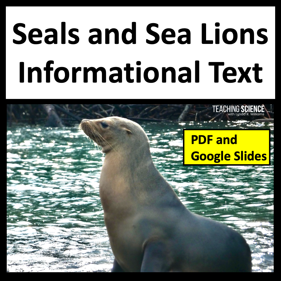 Informational text on seals and sea lions