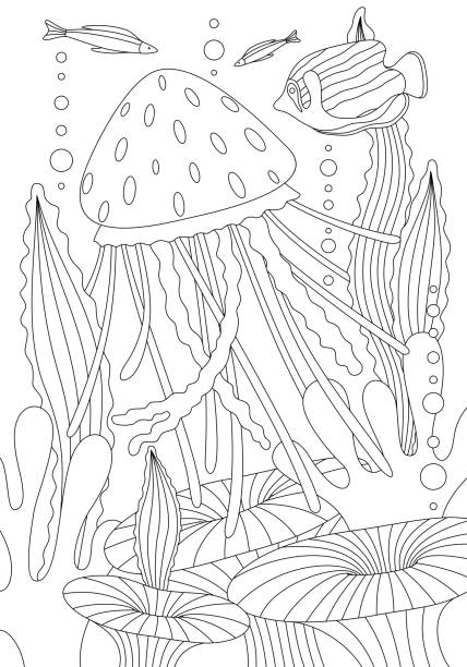 Jellyfish coloring pages stock illustrations royalty