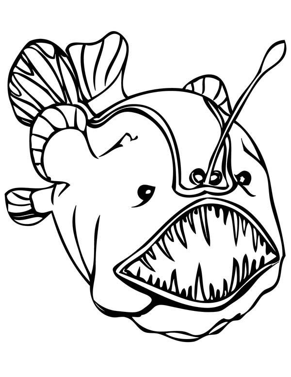 Deep sea creatures coloring pages monster coloring pages fish coloring page coloring pages