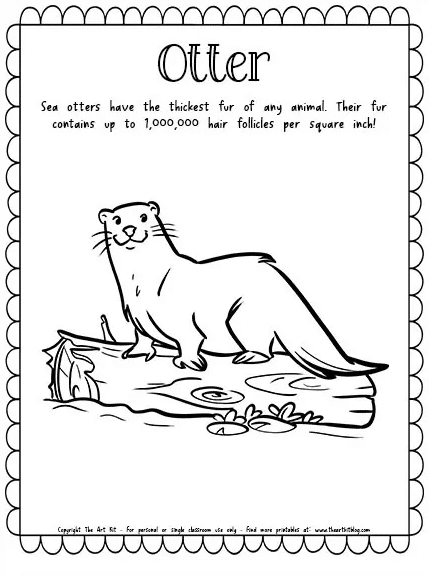 Otter coloring page free homeschool deals