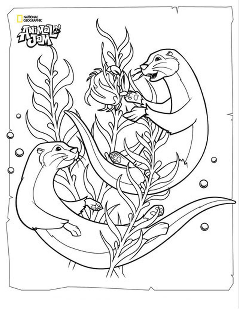 Free printable otter coloring pages pdf