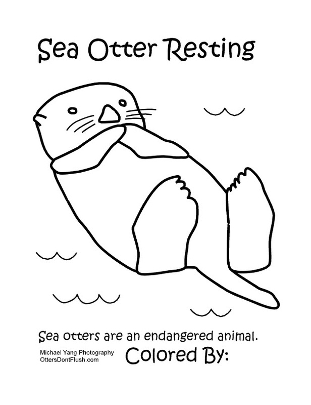 Sea otter coloring page