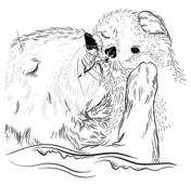 Otters coloring pages free coloring pages