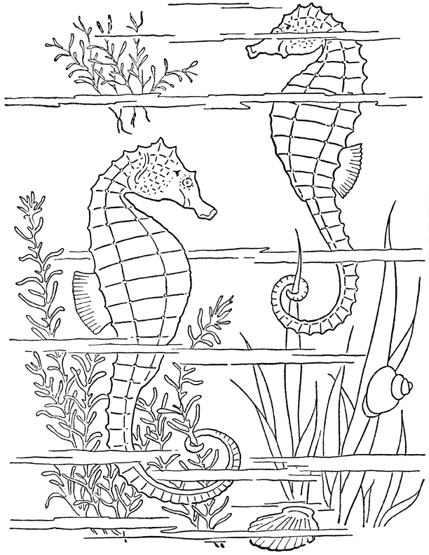 Sea animals printable coloring pages