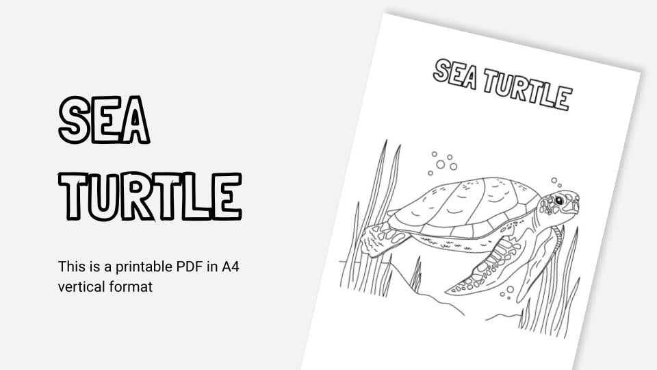 Sea turtle printable coloring worksheet