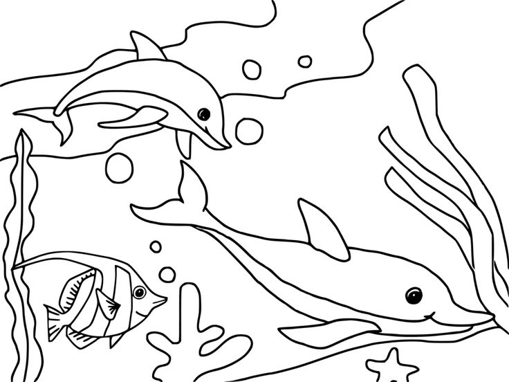 Free printable ocean coloring pages for kids animal coloring pages geometric coloring pages dolphin coloring pages