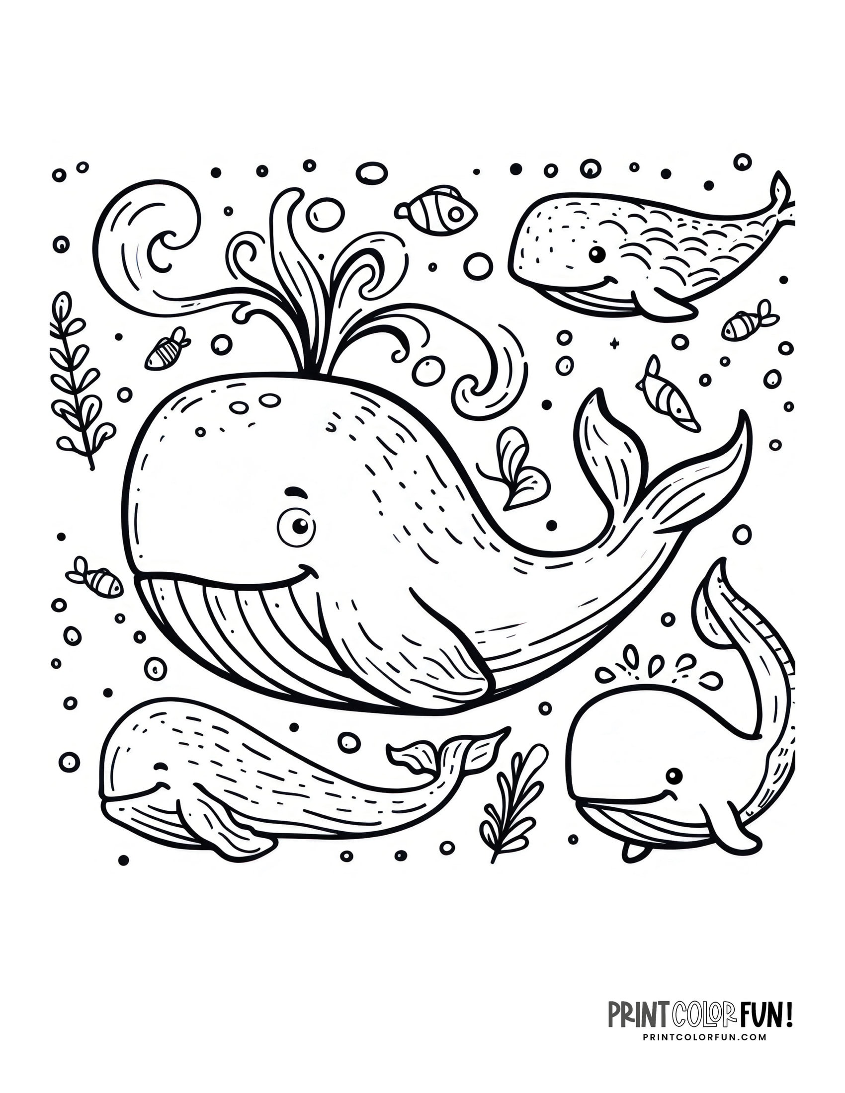 Whale drawings clipart add a splash of creativity fun to learning adventures at