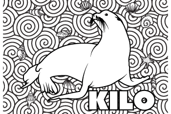 Coloring pages