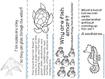 Ocean themed factsriddles bookmarks tpt