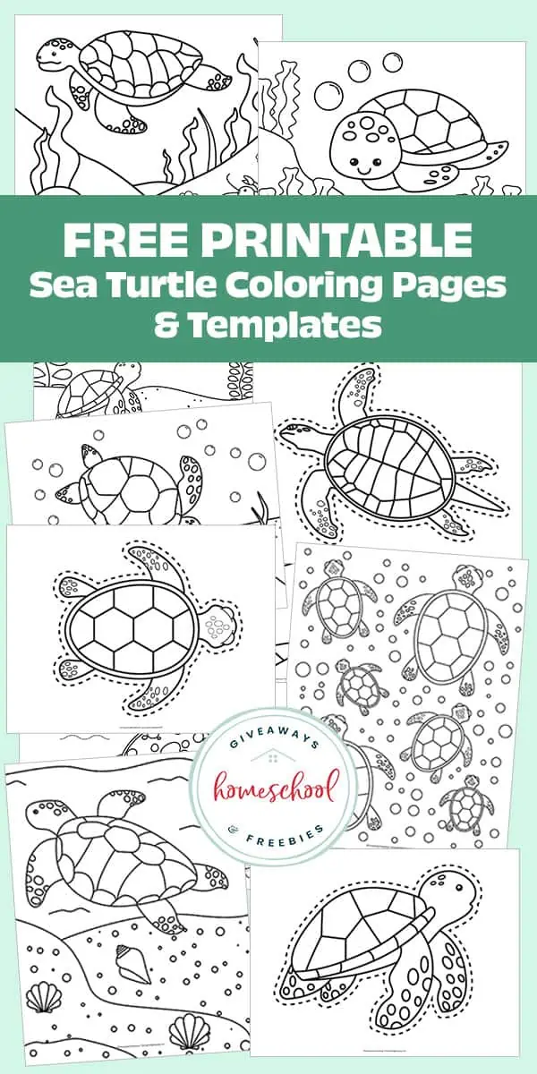 Free ocean animal printables for early learners